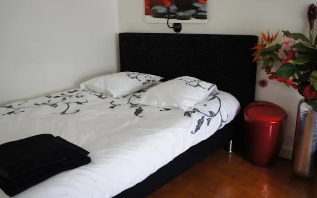 Rive Gauche Comfortable
