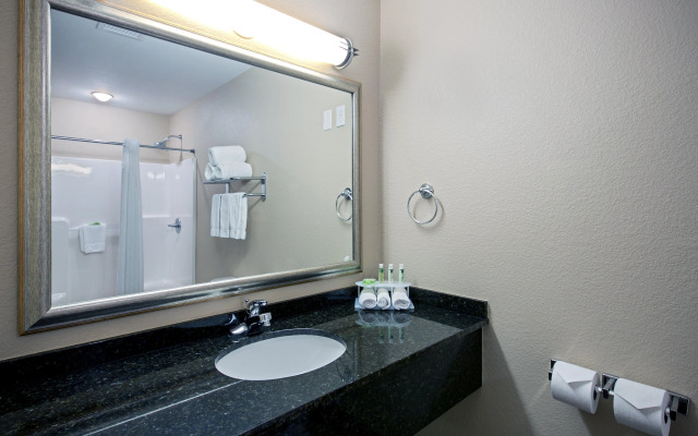 Holiday Inn Express & Suites Green Bay East by IHG