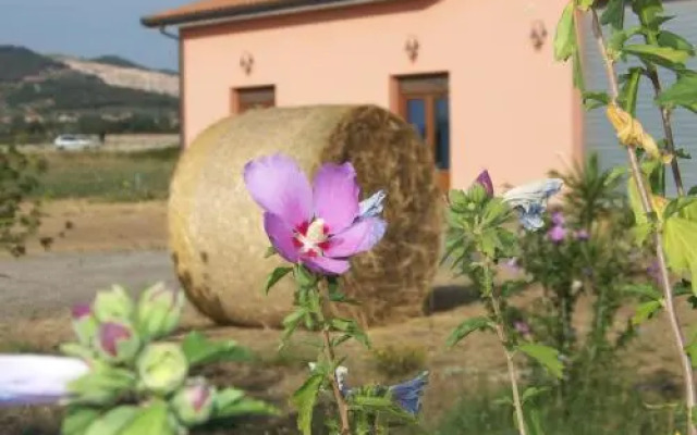 Agriturismo La Nocciolina