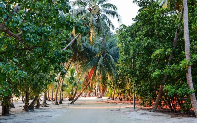 Maldives Seashine Guesthouse