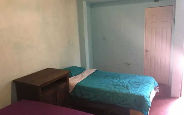 Greenhouse Hostel
