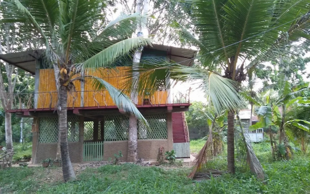 Wooden Paracosm & Resort