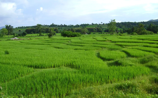 Bannumhoo Homestay Resort & Camping