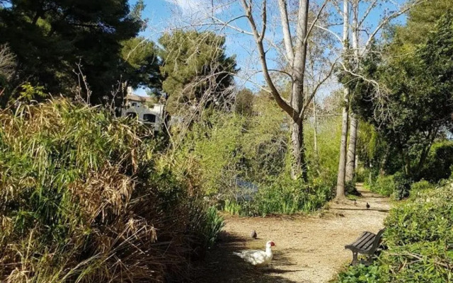 Appartement Six-Fours-les-Plages, 2 pièces, 2 personnes - FR-1-316-299