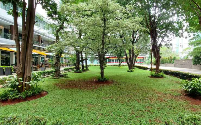 Woodland Park Residence-Relaxed and Friendly
