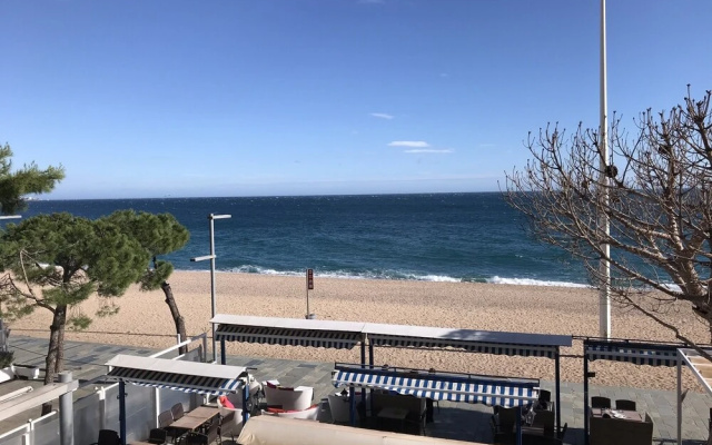 Apartamento Elypalace C-5