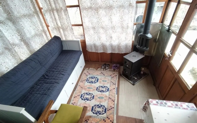 Torrhebia Dag Evi