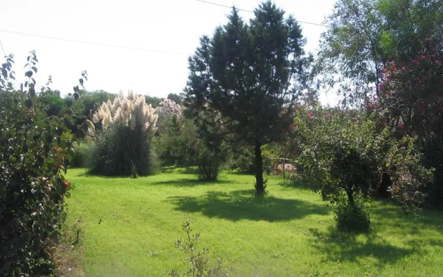 B&B Alvi