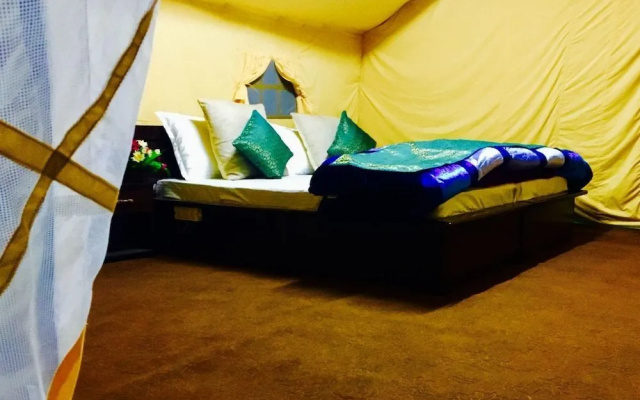 D Camp