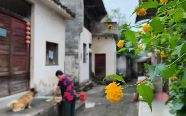 Dayu Chunhua · Poetic Homestay