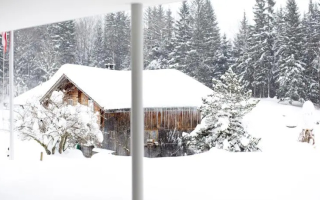 Chalet Bergoase
