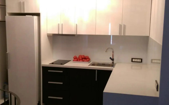 Supilova Apartment