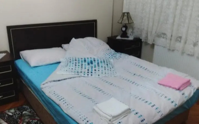 Tepe House