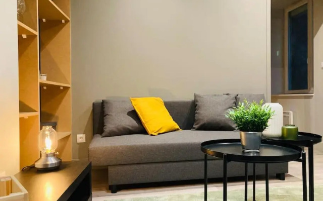 Vienne: appartement au cœur du centre historique