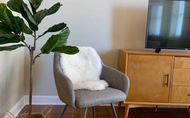 Visit Memphis From A Spacious 1-Bedroom Loft!