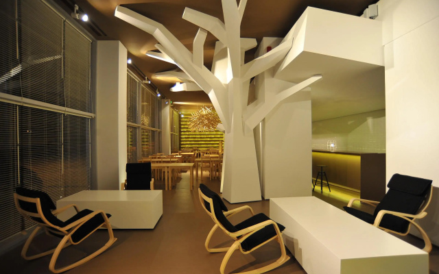 Basic Braga by Axis