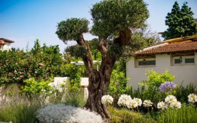 Regginè Holiday Apartments