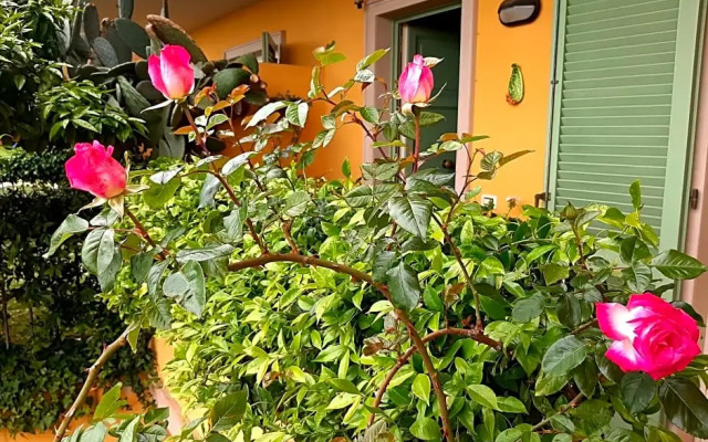 Casa Marta