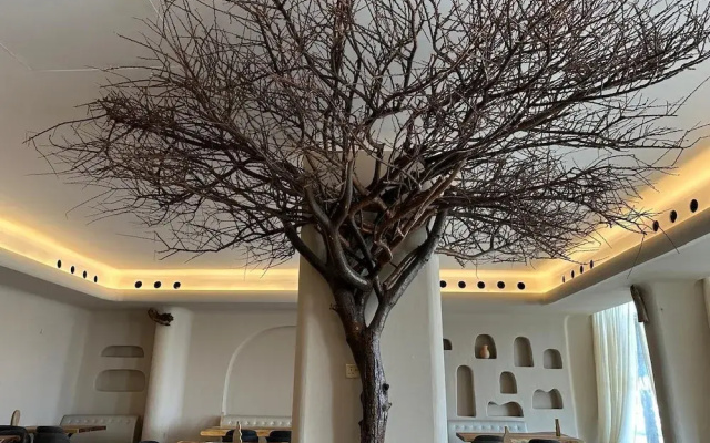 Dibba Sea View Hotel by AMA Pro
