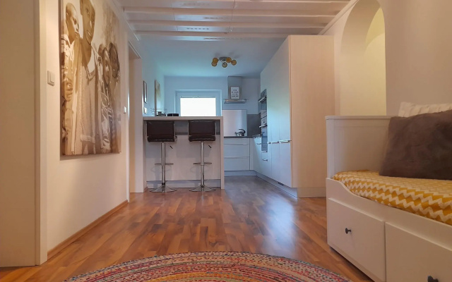 Cosy Apartment in Dienten with mountain view