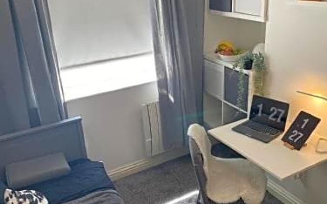 Cosy Flat in London II