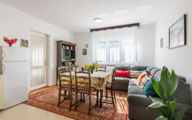 Apartment Vida