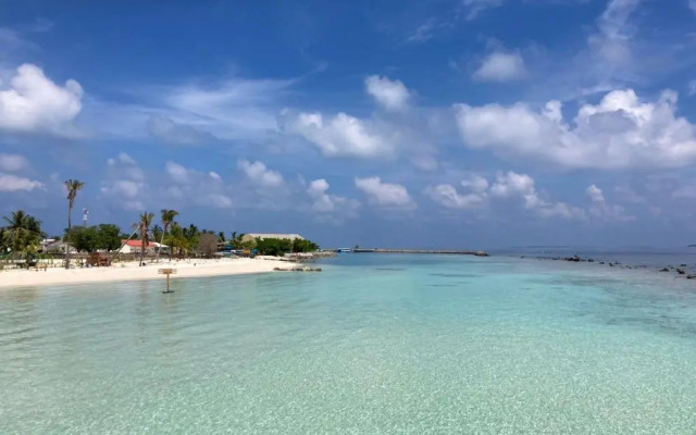 Island Host