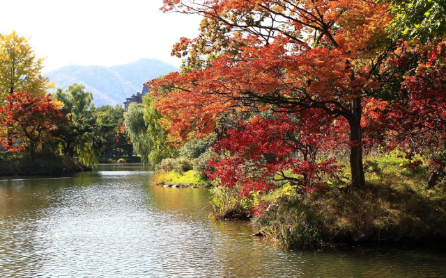Daiwa Roynet Hotel Sapporo Nakajima Koen