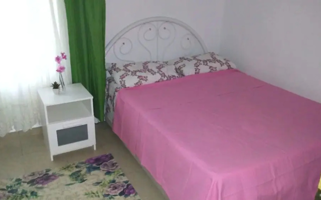 Erikli Tatil Evi 1