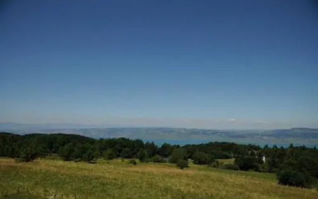 Studio Les Iris