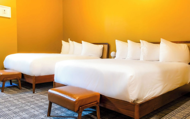 Hotel Alexander