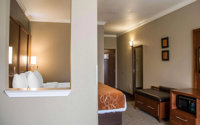 Comfort Suites New Braunfels - San Antonio Area