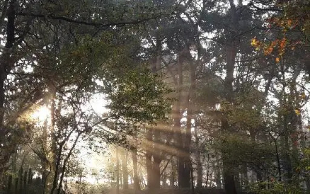 Inn The Woods - Private Stay