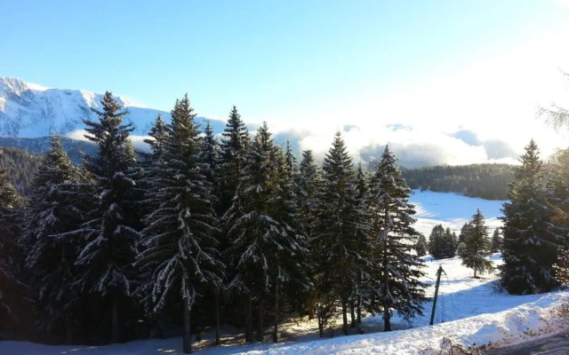 CHAMROUSSE-SPORT&DETENTE appartement 6 couchages avec superbe vue