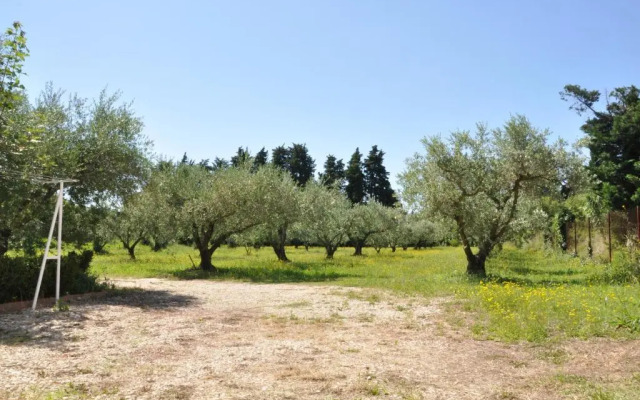 Gîte Du Mas Des Oliviers