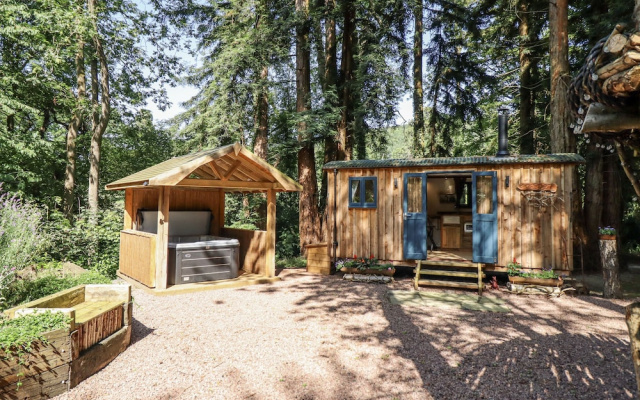 Tanglewood Shepherds Hut