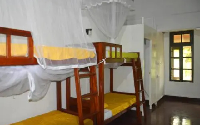 Fig and Gecko Hostel