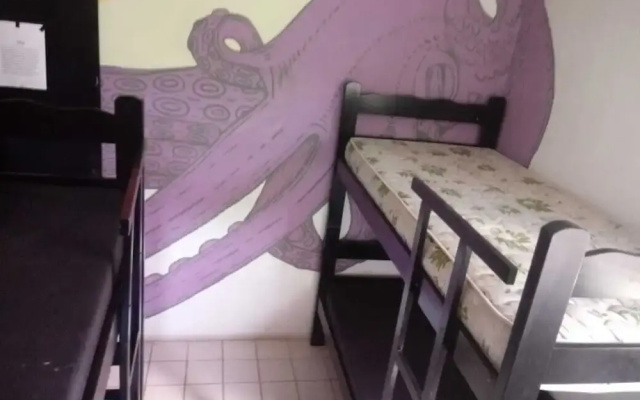 Full Sail Hostel