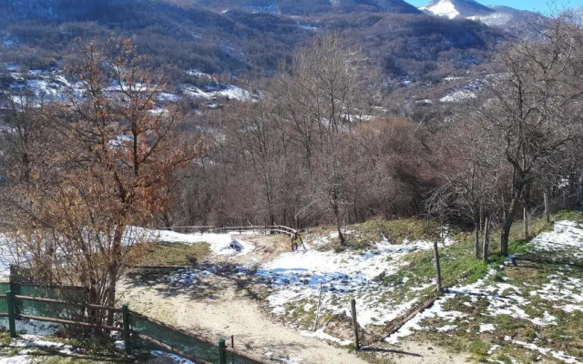 Lo Scoiattolo