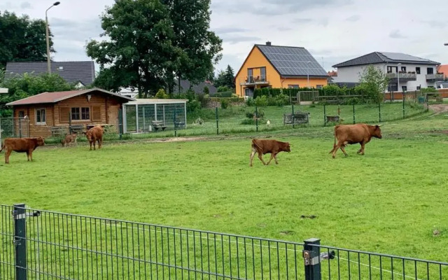 Ferienwohnung zur Dexter-Zucht Coswig (Anhalt)