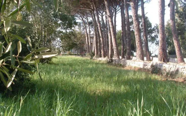 Masseria Fumarola Ostuni