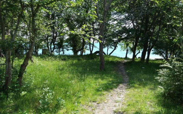У Гранта.