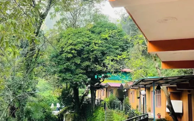 Hostel Abodes Trees Of Heaven