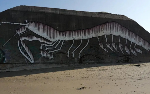 Ste Cécile Plage