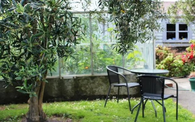 Olive Tree Bed & Breakfast