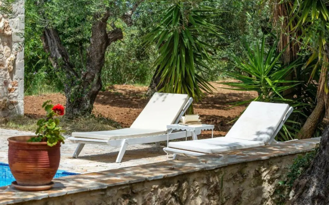 Olive Grove Villa