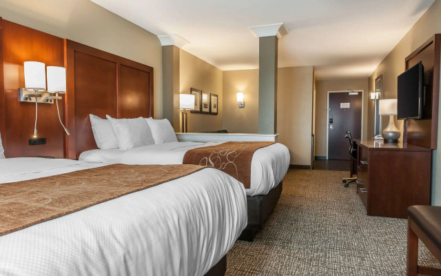 Comfort Suites Rensselaer near Fair Oaks