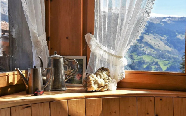 The Alpina Lodge