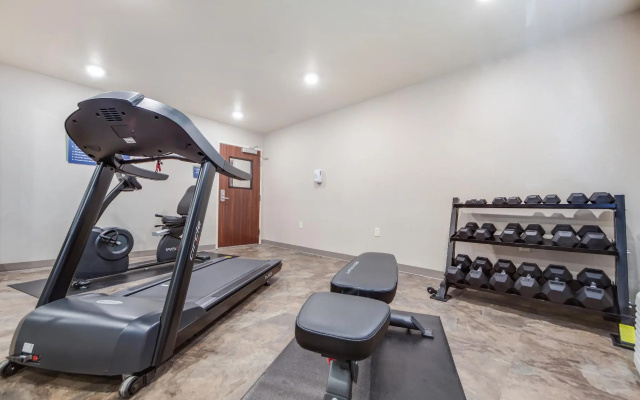 Cobblestone Hotel & Suites - Lamar