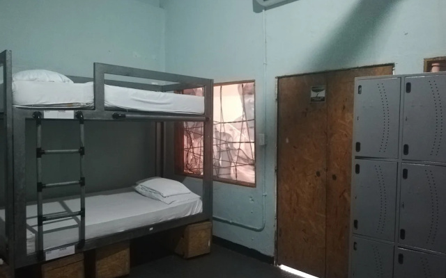 Tree House Hostel